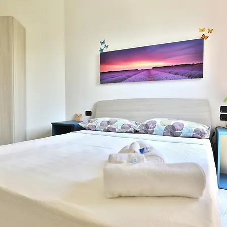 Molly Guest house *
